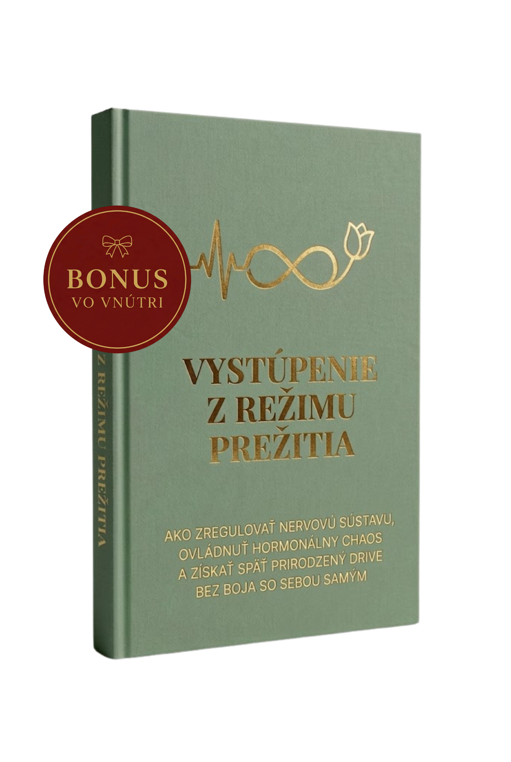 VYSTÚPENIE Z REŽIMU PREŽITIA: Ako zregulovať nervovú sústavu, ovládnuť hormonálny chaos a získať späť prirodzený drive bez boja so sebou samým